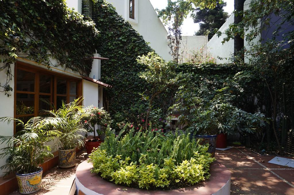 Casa Jacinta Guest House Ciudad de México Exterior foto
