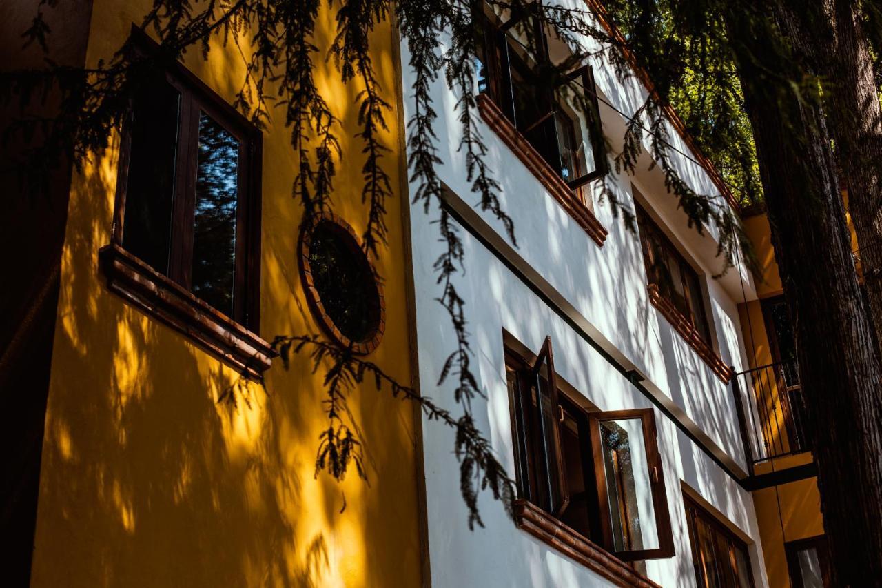Casa Jacinta Guest House Ciudad de México Exterior foto